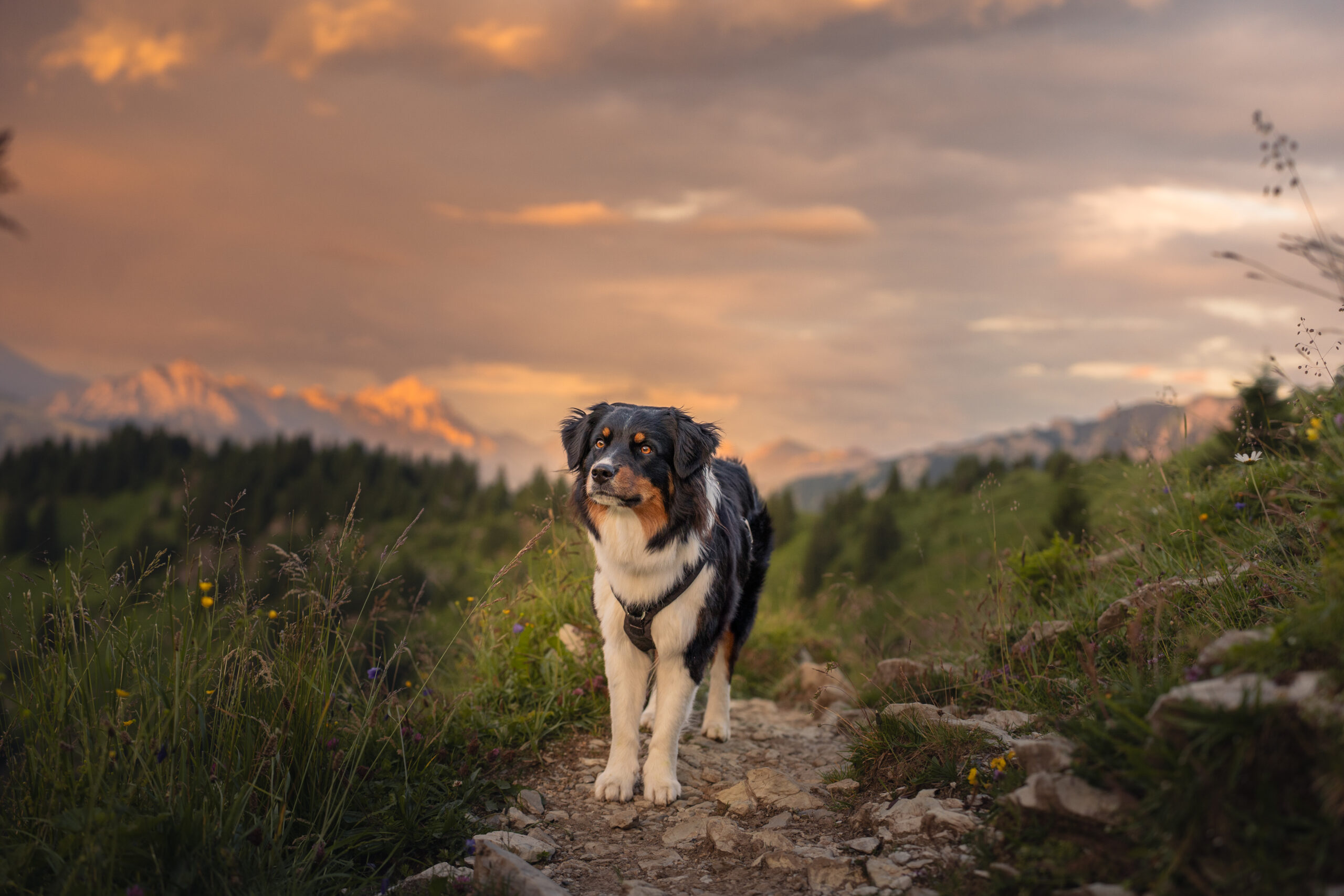 #1 – Sonnenuntergang auf dem Jochschrofen
