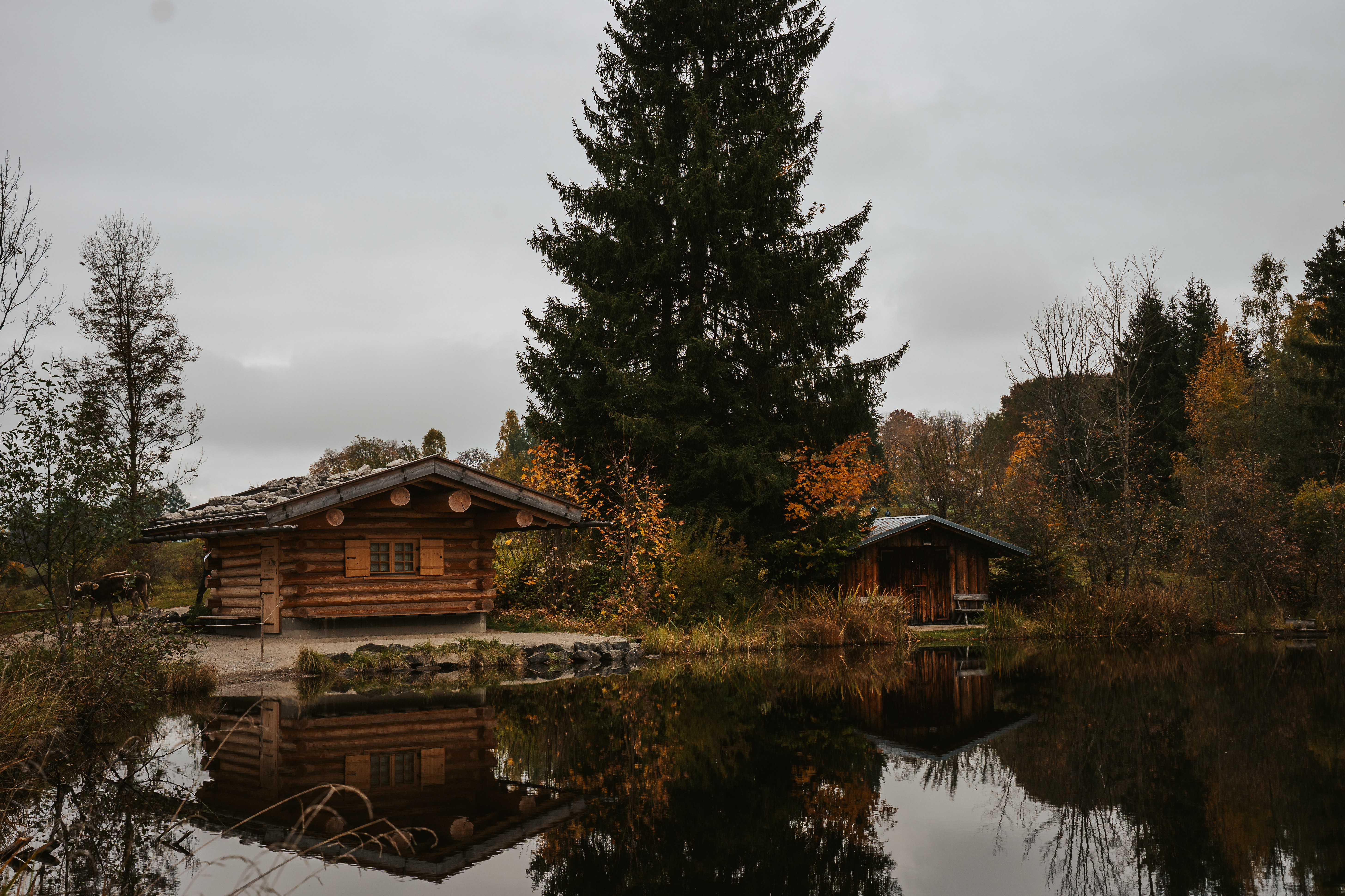 #5 – Herbstrunde am Moorweiher in Oberstdorf