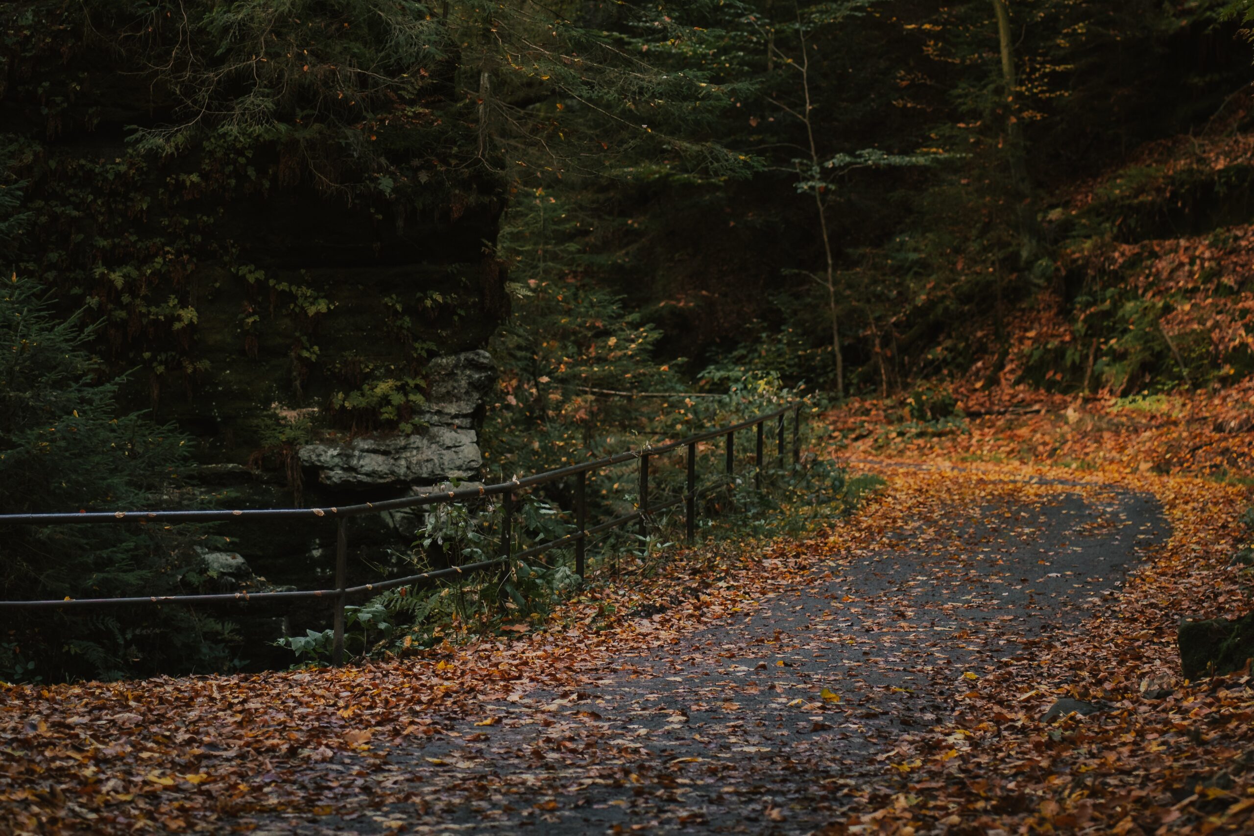 #4 – Herbstspaziergang in der Sächsischen Schweiz