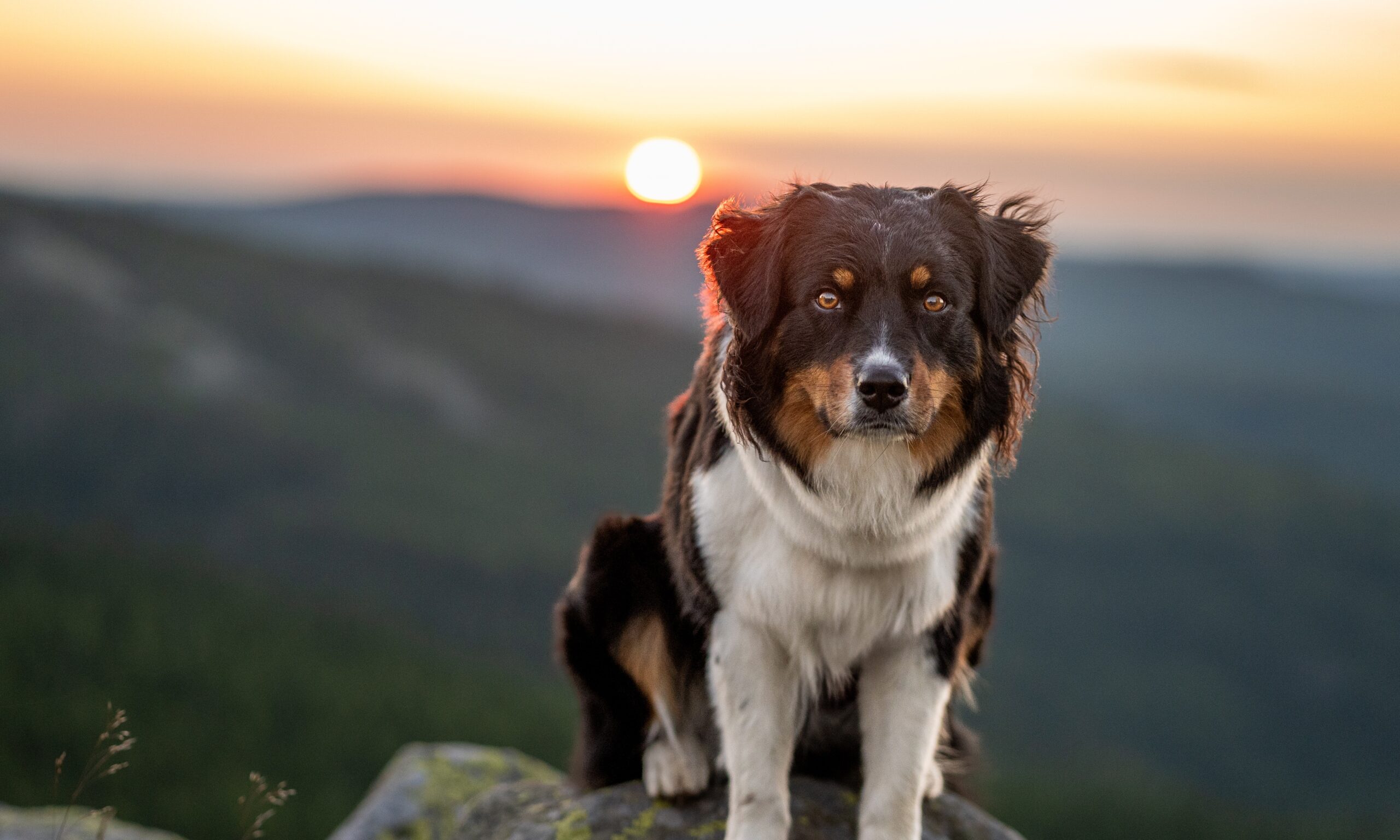 #6 – Sonnenaufgang auf dem Lusen