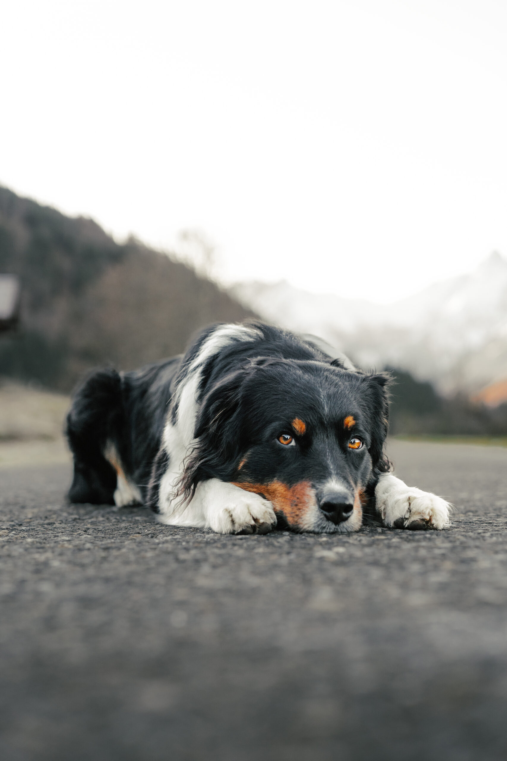 #11 – Oytalrunde von Oberstdorf